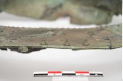 Foto von Bronzebreitrandschale (NHMW-PRAE-025899)